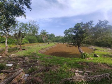 Sítio - Venda - Lami - Porto Alegre - RS