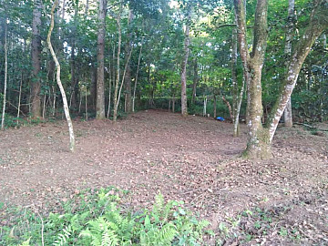 Terreno - Venda - Campo Novo - Porto Alegre - RS